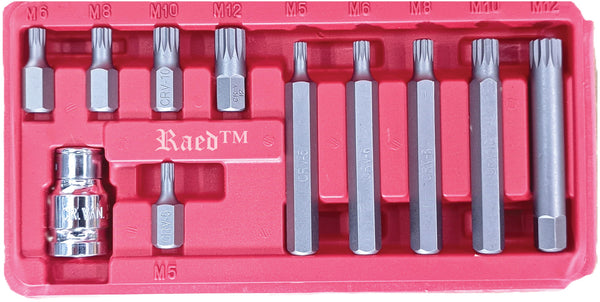 Raed™ 11 Pcs Spline Bit Socket Set 12 point drive tool M5 to M12 ...
